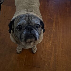 Meet your Posher, Sherry